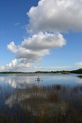 Fototapeta premium Active senior kayaking on calm waters of Nine Mile Pond in Everglades National Park, Florida on sunny afternoon under beautiful winter cloudscape.
