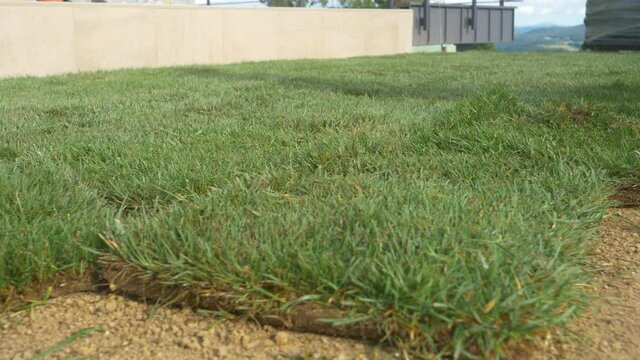 LOW ANGLE, CLOSE UP: Grass tiles get thrown on the empty soil ground in a big backyard under construction. Contractors throw around artificial squares of natural grass while landscaping a backyard.