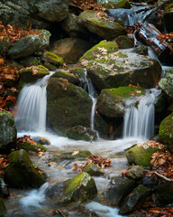 Water cascades over rocks covered with colorful leaves in this autumn scene.