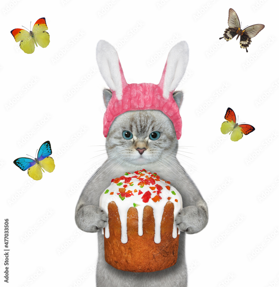 Wall mural an ashen cat in a pink easter bunny hat is holding a easter cake. white background. isolated.