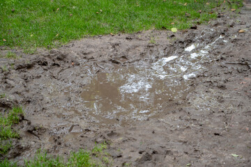 Landscape of mud puddle in Luisenpark Mannheim Baden Wurttemburg Germany