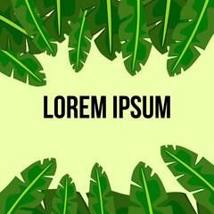 Template for text in tropical style. Natural decoration with banana leafs