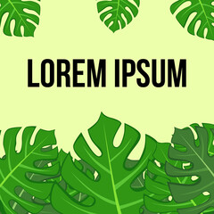 Template for text in tropical style. Natural decoration with tropical leafs