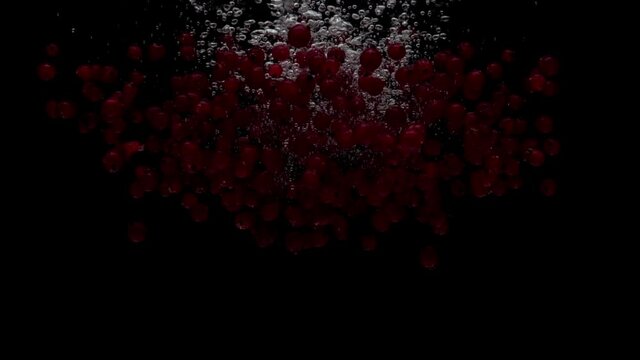 Slow motion currents ribes falling into transparent water on black background. Fresh berry splashing in aquarium. Healthy food, diet, fruit, air bubbles