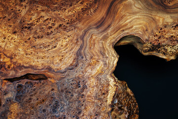 Style wooden countertop slab, saw cut wood treated with varnish close-up on black. Isolate. 