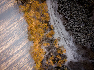 Winter forest drone