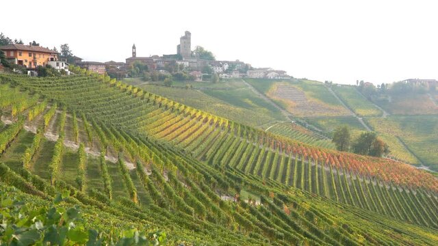 Beautiful hills and vineyards during fall season surrounding Serralunga d'Alba village. In the Langhe region, Cuneo, Piedmont, Italy.