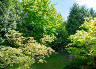 Fototapeta na wymiar Landscape of Japenese Garden in Garten der Welt Marzahn Berlin Germany