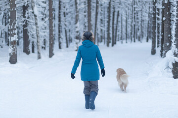 Fototapeta na wymiar Walking with a dog in winter in the forest. Winter forest and dog.