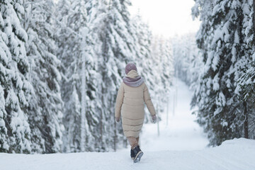 Fototapeta na wymiar A woman walks in the winter forest.A walk through the forest on a day off.