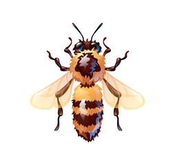 Cute bee in cartoon style, vector illustration