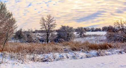 Sunday winter morning in countryside Ukraine