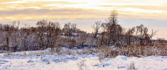 Sunday winter morning in countryside Ukraine