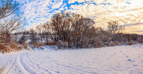 Sunday winter morning in countryside Ukraine