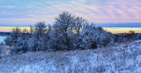 Sunday winter morning in countryside Ukraine