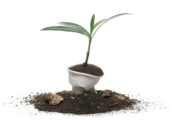 Disposable crumpled, paper cup  for throwing away and recycling and dirt pile with oleander plant isolated on white background, with clipping path, side view