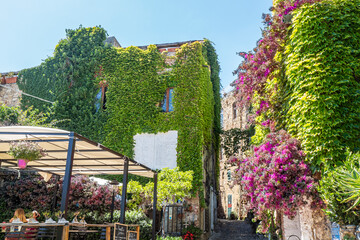 Ancient streets to houses in Bussana Vecchia damaged and earthquake with plants and flowers - obrazy, fototapety, plakaty