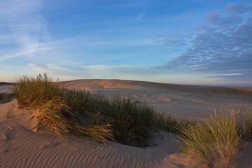 R&aring;bjerg Mile, Skagen, Nordjylland, Danmark		