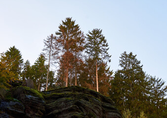 Fototapeta premium A low angle shot of moss-covered rocks and autumn colored trees against the sky, hiking route in Beaufort, Luxembourg