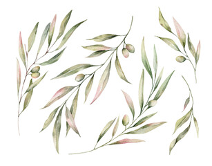 Watercolor set of olive branches. Illustrations isolated on white background for invitation, greeting card or your design