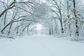 Winter forest with trees covered snow. Snowy road. Winter travel concept. Copy space.