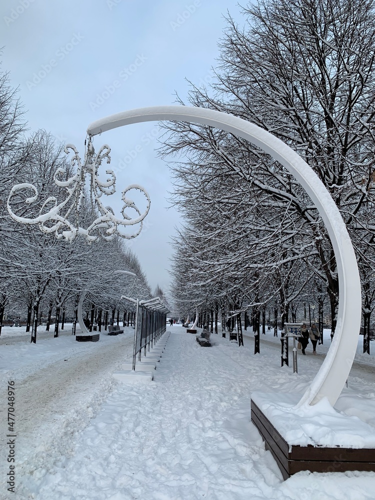 Poster christmas background with snowy trees. winter park pavement covered with snow and trees.