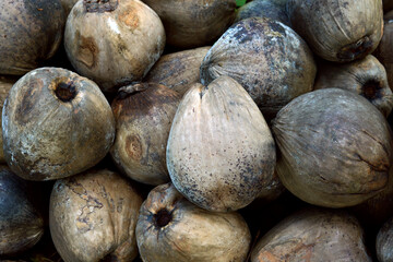 pile of pile of coconuts