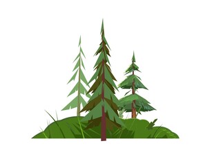 Pine tree. Little natural landscape. Illustration in cartoon style flat design Isolated on white background. Vector