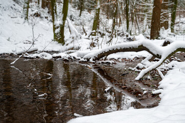 Winterlandschaft am Rennsteig mit Bärenstein bei Oberhof im Schnee