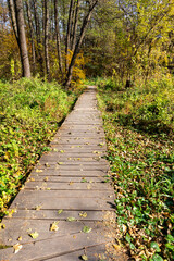 Obraz premium Wooden footbridge through the forest. The trail of pedestrians made of boards is adventurous and informative. Selective focus.