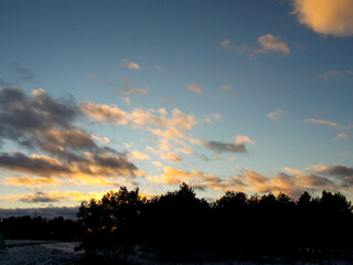 Fototapeta premium The silhouette of the forest and the picturesque sky