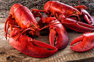 Maine Atlantic Lobster