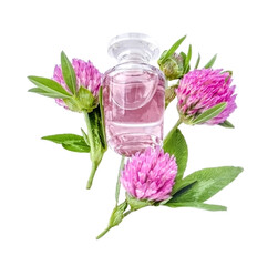 Obraz na płótnie Canvas Red clover (Trifoium pratense L.) flower heads and vial with natural floral essence isolated on white.