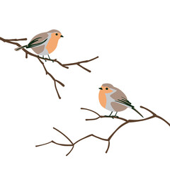Fototapeta premium Robins on the branches. Set of winter birds flat style.