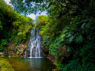 Naklejka na ściany i meble View of a waterfall hidden in a forest located in Mauritius