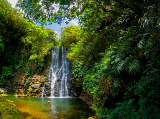 Plakat View of a waterfall hidden in a forest located in Mauritius