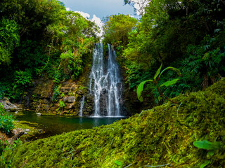 Obraz premium View of a waterfall hidden in a forest located in Mauritius