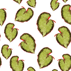 Spring flowers print. Seamless floral pattern. Plant design for fabric, cloth design, covers, manufacturing, wallpapers, print, gift wrap and scrapbooking Free Download Vector