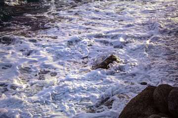 waves on the rocks
