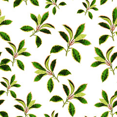 Spring flowers print. Seamless floral pattern. Plant design for fabric, cloth design, covers, manufacturing, wallpapers, print, gift wrap and scrapbooking Free Download Vector