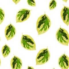 Spring flowers print. Seamless floral pattern. Plant design for fabric, cloth design, covers, manufacturing, wallpapers, print, gift wrap and scrapbooking Free Download Vector