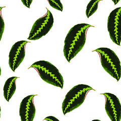 Spring flowers print. Seamless floral pattern. Plant design for fabric, cloth design, covers, manufacturing, wallpapers, print, gift wrap and scrapbooking Free Download Vector