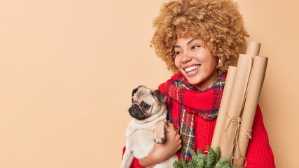 Happy young woman with curly bushy hair hold pug dog rolled paper and fir tree branches enjoys New Year preparations wears warm winter scarf and sweater isolated over brown background copy space