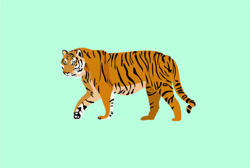 Pacing tiger on isolated background - vector illustration 