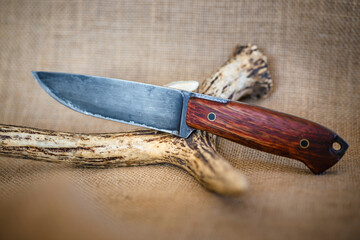 Hunting knife with burnished blade and amazaque wooden handle - 477058740