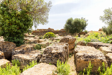Natural Sceneries of The Temple of Olympian Zeus (Tempio di Giove Olimpico) In Valley of Temples, Agrigento, Sicily, Italy.
