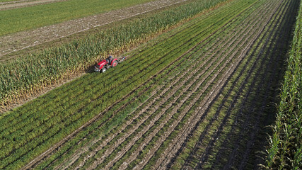 Farmers use agricultural machinery to harvest peanuts in the fields, North China