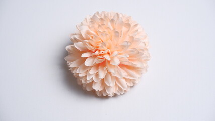 Artificial flower, Christmas and new year decoration isolated on white background, party decoration, birthday decoration. decoration concept. party concept.