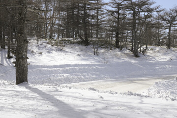 真冬の山の雪道