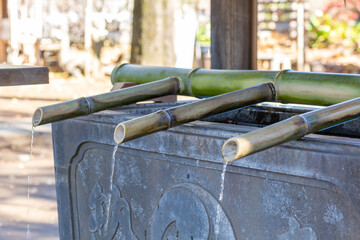 bamboo wash basin in japanese shinto shrine